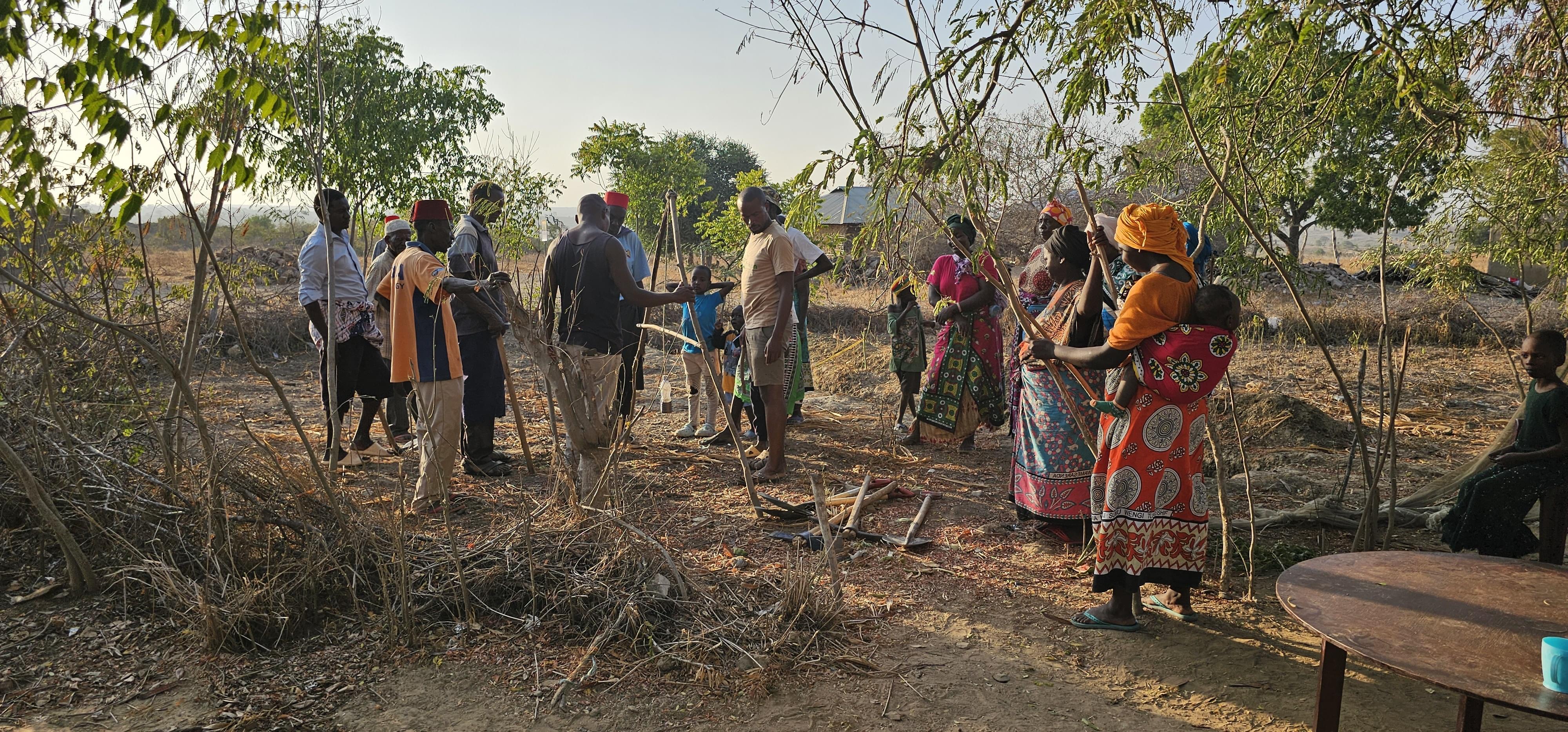 Kaya groups in Kinango active in forest restoration
